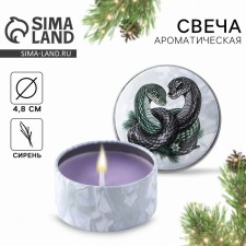 New Year. New Year's candle in the Iron Bank 