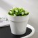 Kashpo for flowers with an insert "Porto", 2.4 liters, white color