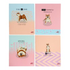 Notebook of 48 sheets in the line 