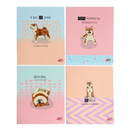 Notebook of 48 sheets in the line "It is time to grow wiser", the cover coated cardboard, the offset unit, mix