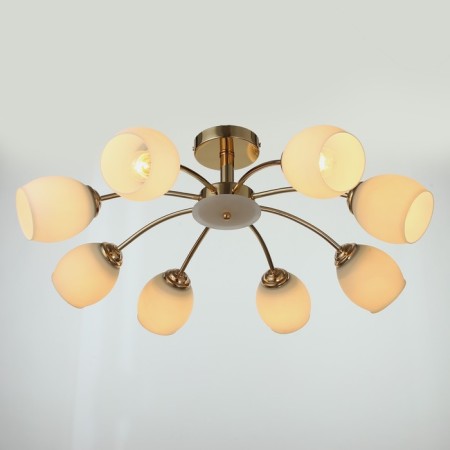 Ninel chandelier 8x60W E27 gold 65x65x22cm.-1