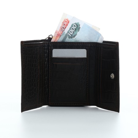 Women's wallet with zipper, Textura, brown color-5