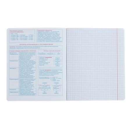 A notebook “Hints”, 48 sheets in a cage, “Informatics”, coated cardboard, matte lamination, Touch varnish, Offset block-4