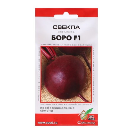 Beets "Boro", 100 pcs
