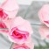 Soap roses, three -color, set of 6 pcs.