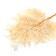Sukhotzet "Paporotnik", yellow, 10 pcs. packaged