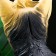 Piggy bank "Yorkshire Terrier" Standing, 16x32x28cm