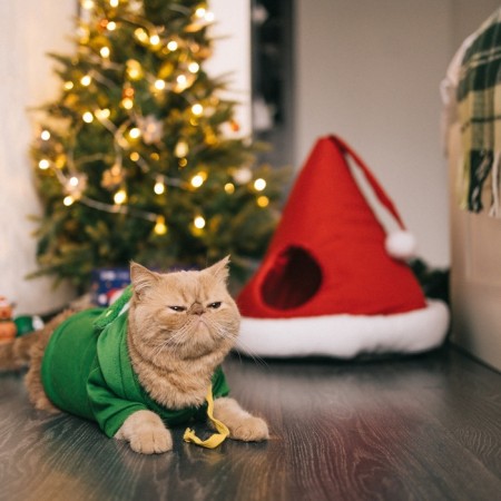 Animal costume "Christmas tree", size XS, green-12