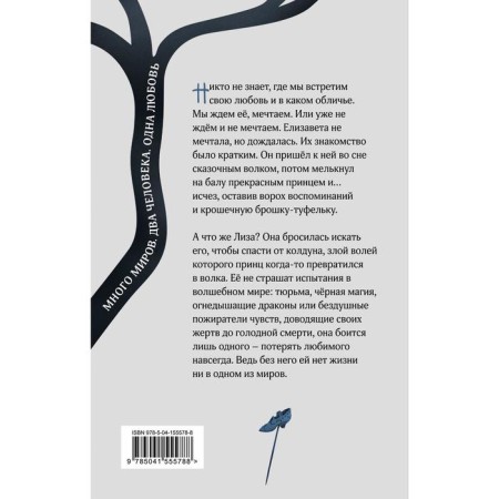 Вечерняя звезда. Соловьева Е.-1