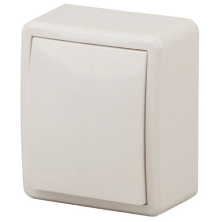 Switch, 10AX 250V, IP20, OU, Era Expert, ivory