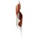 Wind Music "restraint" aluminum 15x15x85 cm