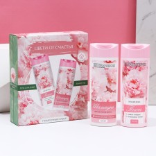 Gift set of cosmetics 