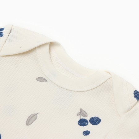 Body with DL. Sleeve crumb I am Blueberry p. 62-68, milk-1