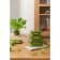 Container for baking, storage and carrying of products in the Smart Solutions cover, green color, 640 ml
