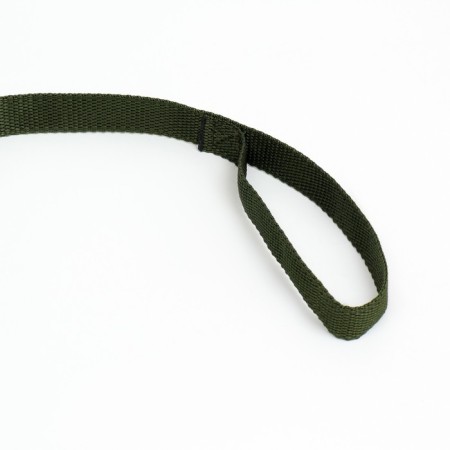 Leash 5 m x 2 cm, green-2