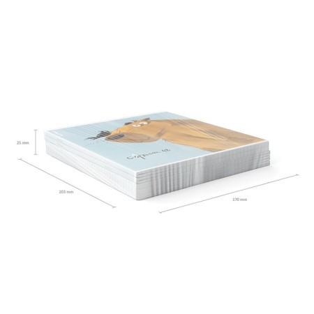 Notebook of 48 sheets in the Erichkrause cell "Happy Capy,", matte lamination, an offset block 100%, mix-8