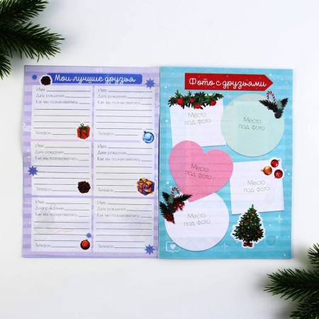 New Year. Questionnaire A5, 16 sheets, soft cover, "cool guy"-2