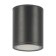 Ceiling light Outdoor O306CL-L12GF, 12W, 10.8x10.8x15.5 cm, LED, 1300LM, 3000K, graphite color