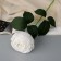Artificial flowers "rose lady cascade, with spikes" 57x8 cm, white
