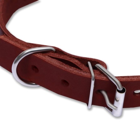 Collar of a single-layer leather, 54 x 2.5 cm, Osh 35-45 cm, brown-7