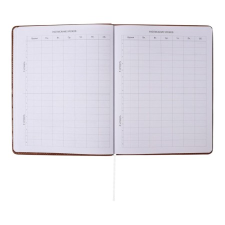 Universal diary for grade 1-11 Feel Inspired, solid cover, artificial leather, foam rubber, foil embossing, liesse, 80 g/m2-4