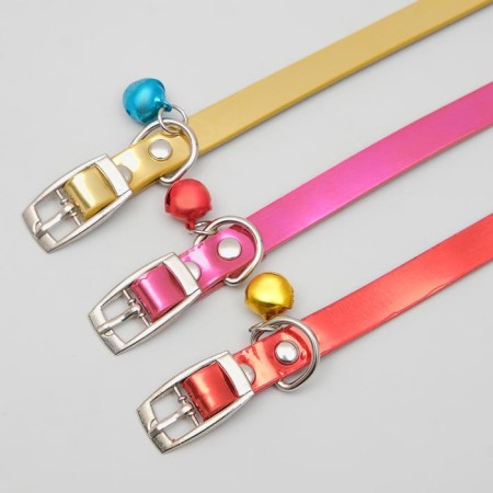 Animal collar-3