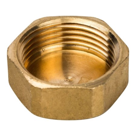 Stout SFT-0026-000001, 1 ", internal thread-1