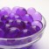 Aquagrunt purple, 10 g, large