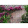 Photo, 300 × 158 cm, with photo printing, eyelets step 1 m, “brick wall”, Greengo