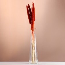 Set of dried flowers 