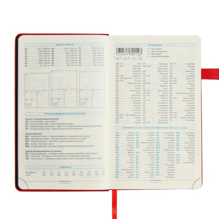 Diary of a low -up A5, 136 Premier sheets, solid cover, artificial leather, lies, magnetic refuge, beige block 70 g/m2, red-7