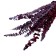 Sukhotzet "eucalyptus tree", red, 10 pcs. packaged