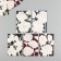Cardboard "Golden Flowers" set 10 pcs (5 species) 4x6 cm