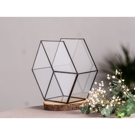 Florarium "Sot 3d" (black seams)-2