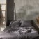 Summer SL Home Tencel 180*220 cm, col. grey