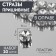 Rhinestones are sewing "circle", in the frame, d = 10 mm, 20 pcs, white color