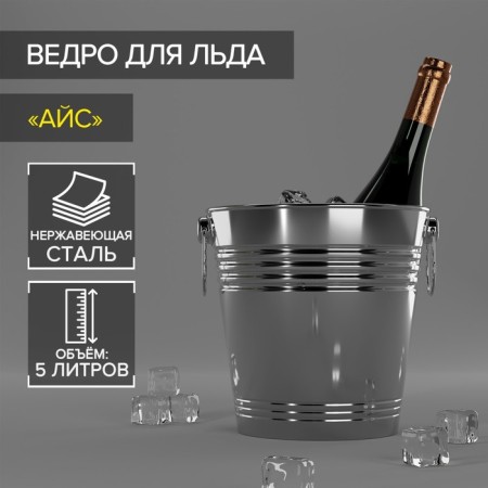 Ice ice bucket "Ice", 5 l, 22 × 22 cm, chrome color