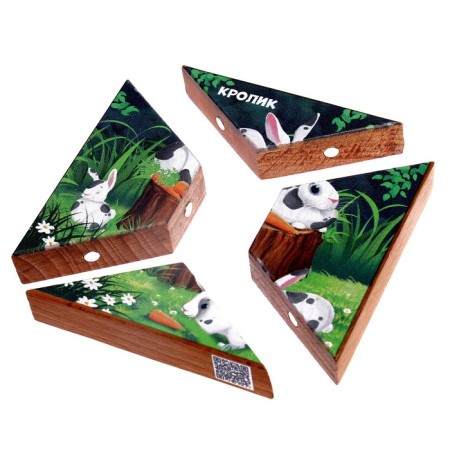 Magnetic puzzle according to the early development system "Rabbit"-5