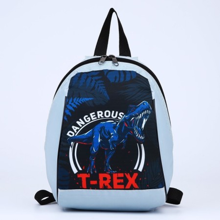 School Baby Baby for the boy "Dinosaur", 20x13x26, lightning department, gray-2