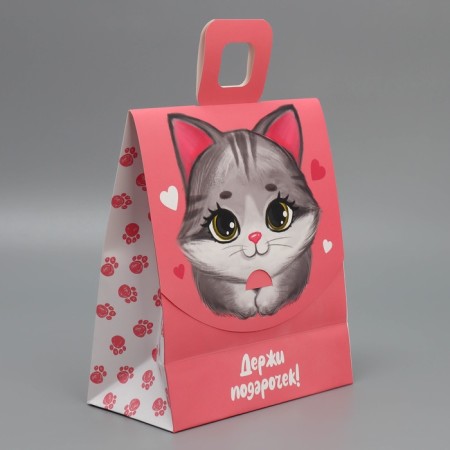 Gift package with a mold valve, packaging, Kitik, 23 x 27 x 11.5 cm-3
