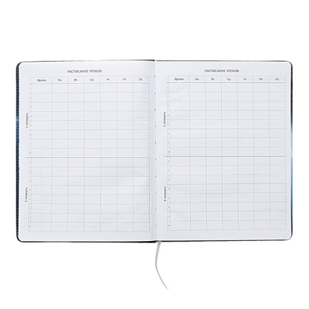 Universal diary for grade 1-11 Football Time, solid cover, artificial leather, foam rubber, liesse, 80 g/m2-6