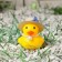 Duck yellow, straw hat