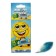 Flavor on the mirror Areon Smiley Fresh air 704-SMR-315
