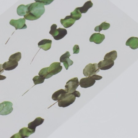Stickers for creativity plastic "Eucalypt" 21x10.5 cm-1