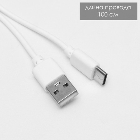 Table lamp sensory "Classen" LED 3W AKB USB white and white 14x13.5x57 cm Risalux-12