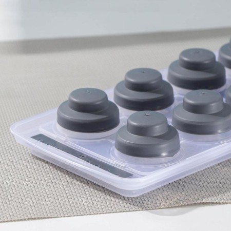 Ice form with a lid, 10 cells, 30 × 12 × 4.5 cm, color mix-1