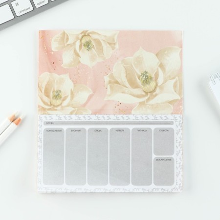 Gift set "Educator": A5 diary, 80 sheets, planing, pen, paper block-20