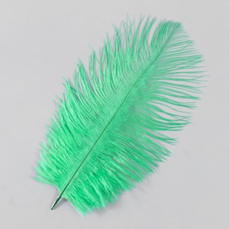 Feather of ostrich 15-20 cm, green-1
