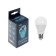 LED LEAZON LIGHTING, A60, 11 W, E27, 990 LM, 6500 K, cold white