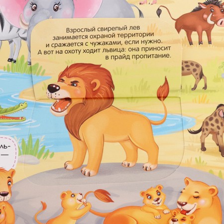 Book with windows "Wimmelbuh. Animals"-2